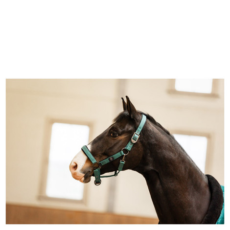 Licol nylon CLX BR • Sud Equi'Passion