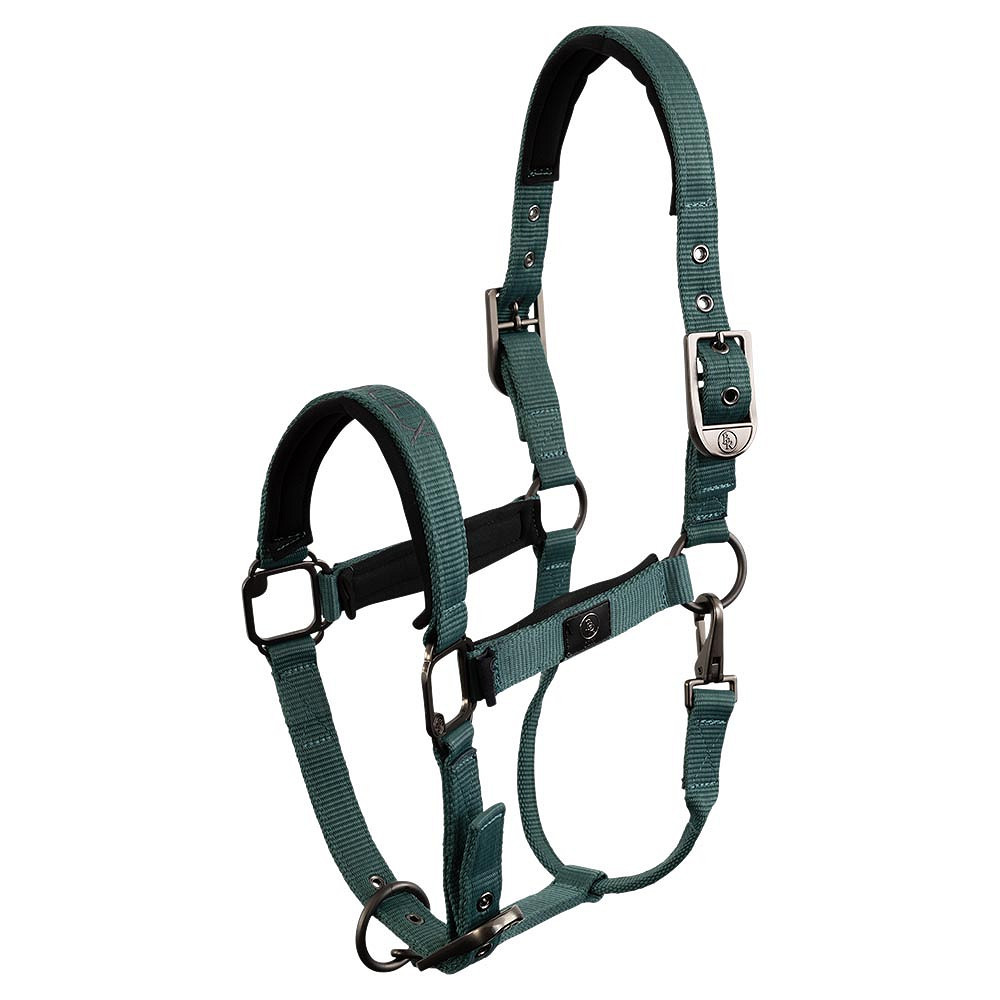 Licol nylon CLX BR • Sud Equi'Passion