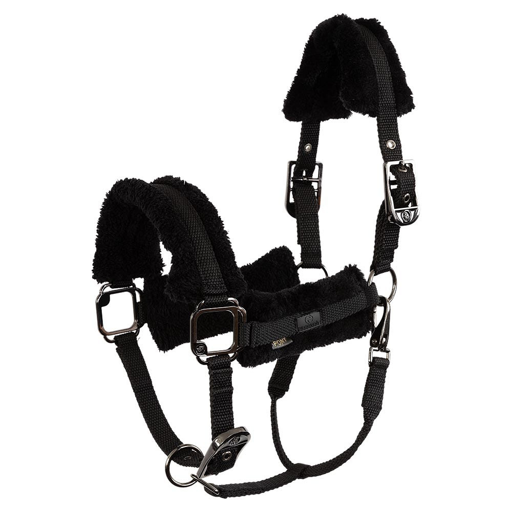 Licol nylon Eevolv Jonne BR • Sud Equi'Passion