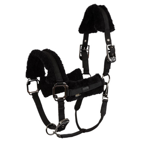 Licol nylon Eevolv Jonne BR • Sud Equi'Passion