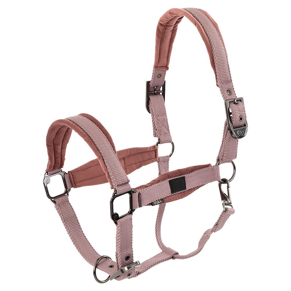 Licol nylon Julia Velvet BR • Sud Equi'Passion