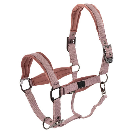 Licol nylon Julia Velvet BR • Sud Equi'Passion