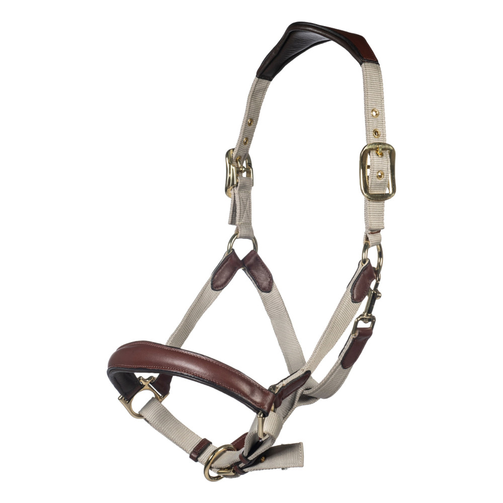 Licol nylon/cuir Luna HKM • Sud Equi'Passion