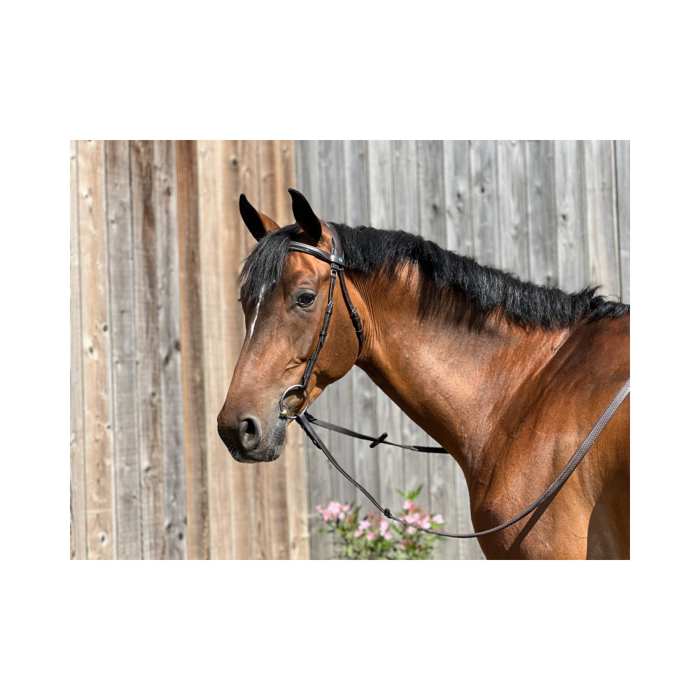 Bridon Anatomique Essentiel Confort TDET • Sud Equi'Passion