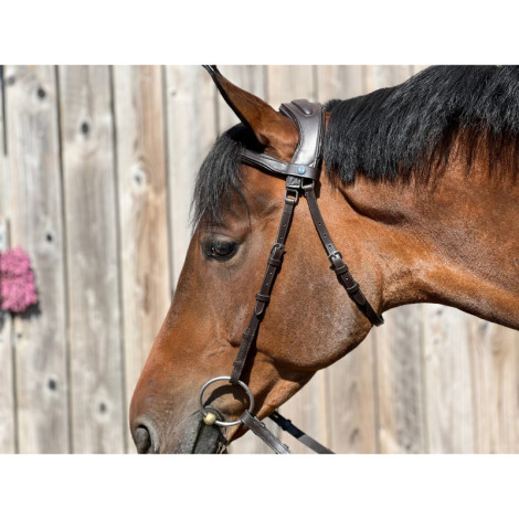 Bridon Anatomique Essentiel Confort TDET • Sud Equi'Passion