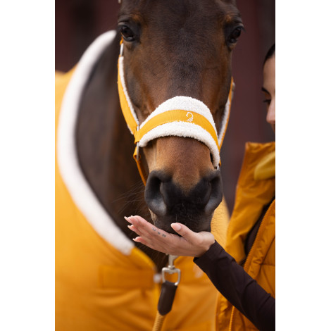 Licol Arezzo LAURIA GARRELLI • Sud Equi'Passion