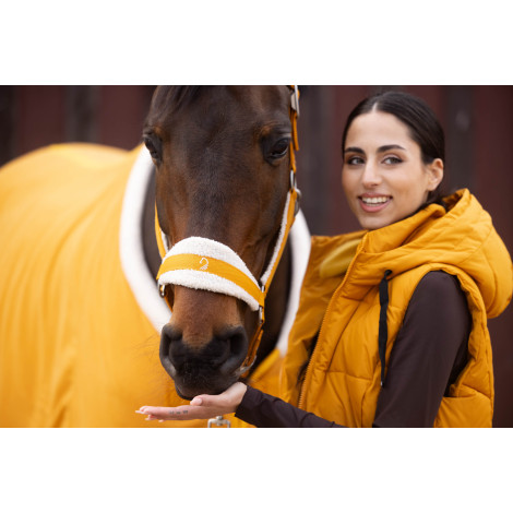 Licol Arezzo LAURIA GARRELLI • Sud Equi'Passion