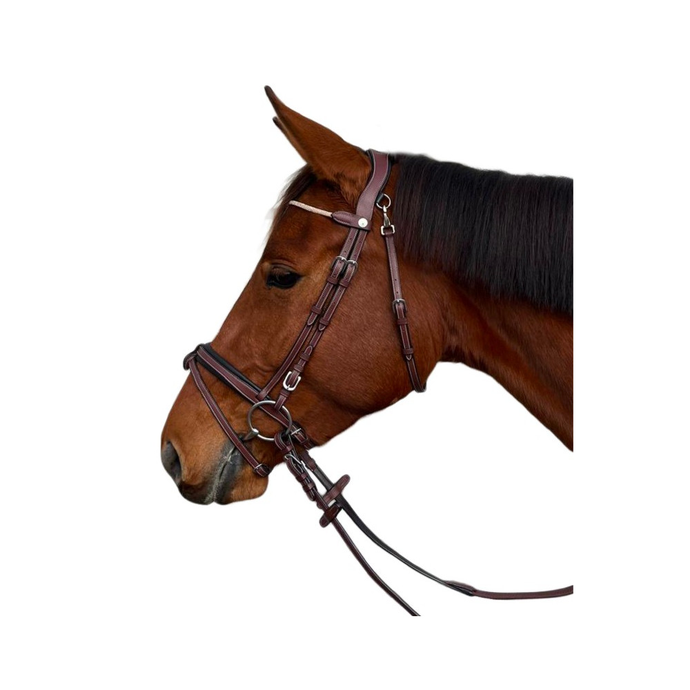 Bridon cuir Genève FLAGS&CUP • Sud Equi'Passion