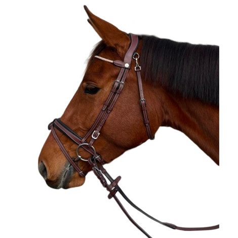 Bridon cuir Genève FLAGS&CUP • Sud Equi'Passion