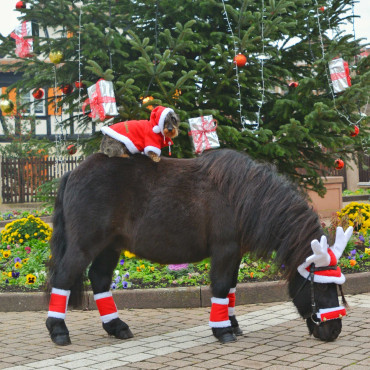Fourreaux de bridon Noël EQUITHEME