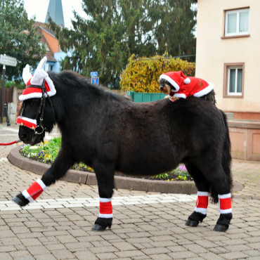 Bonnet ramure de renne Noël EQUITHEME