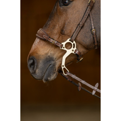 Muserolle pour hackamore HFI • Sud Equi'Passion