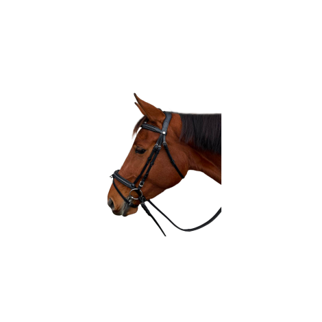 Bridon strass Mylord CANTER • Sud Equi'Passion