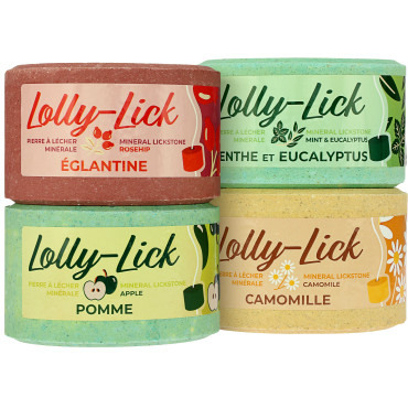 Pierre à sel Lolly-Lick HIPPOTONIC