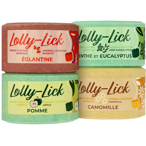 Pierre à sel Lolly-Lick HIPPOTONIC • Sud Equi'Passion