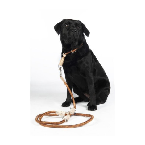 Laisse de dressage pour chien Anam Cara corde HKM • Sud Equi'Passion