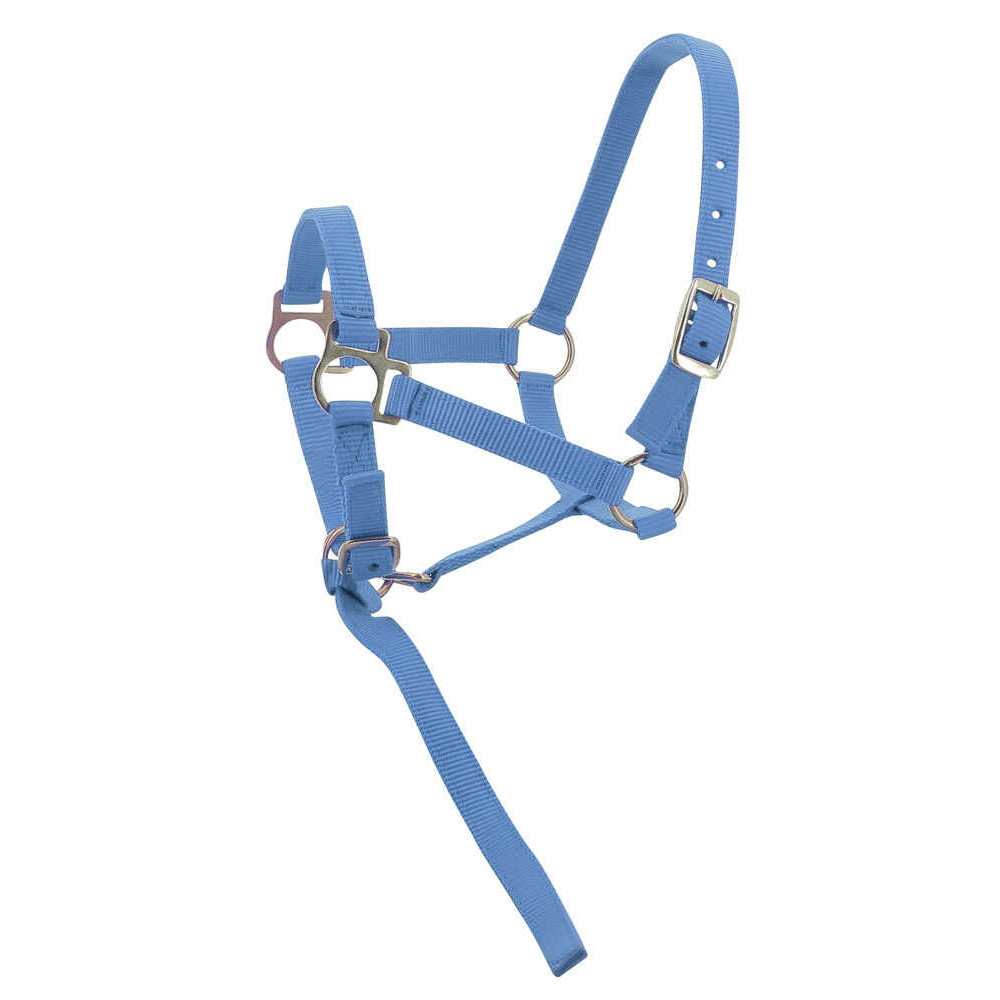 Licol Foal + Longe NORTON • Sud Equi'Passion