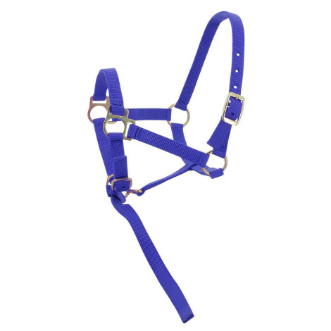 Licol Foal + Longe NORTON • Sud Equi'Passion