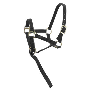 Licol Foal + Longe NORTON • Sud Equi'Passion