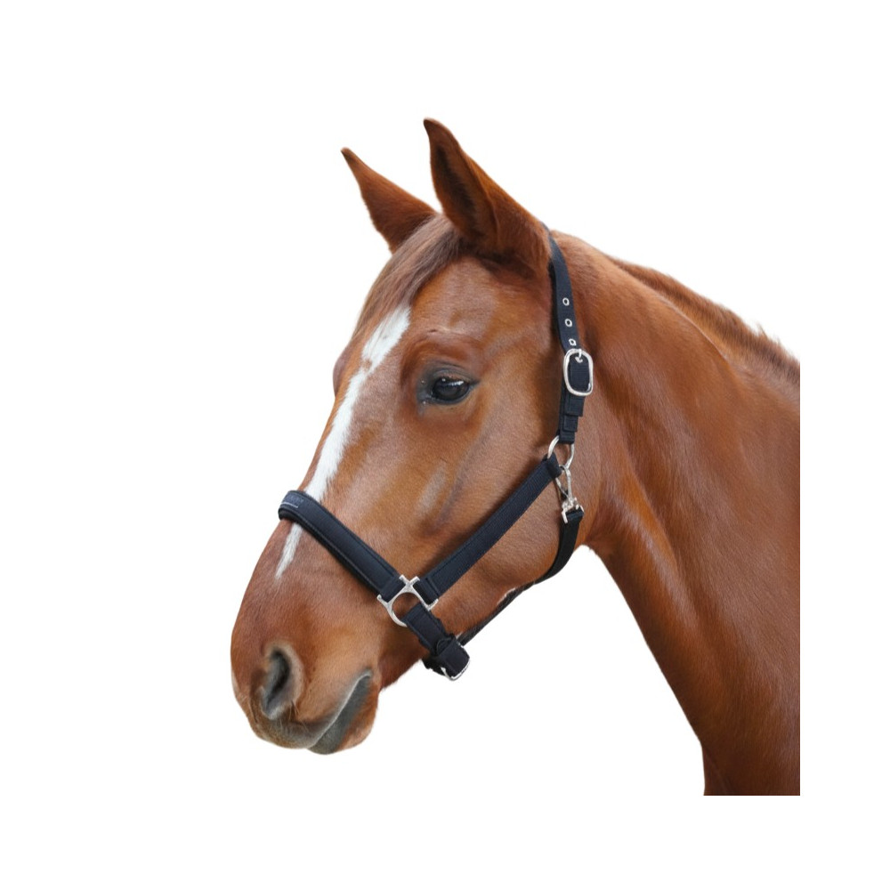 Licol Laguna FLAGS&CUP • Sud Equi'Passion
