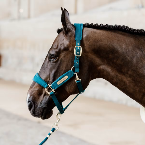 Longe Basic 2m KENTUCKY • Sud Equi'Passion