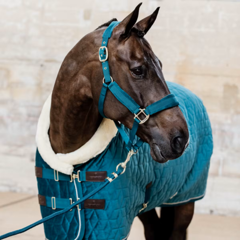 Longe Basic 2m KENTUCKY • Sud Equi'Passion