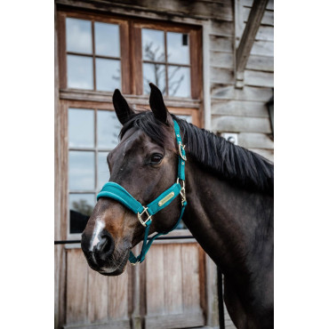 Licol Velvet KENTUCKY • Sud Equi'Passion