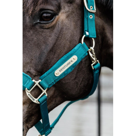 Licol Velvet KENTUCKY • Sud Equi'Passion