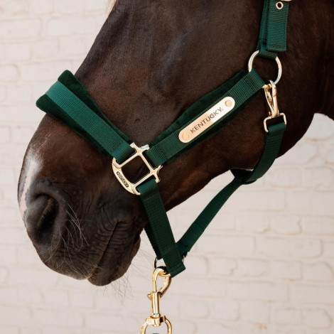 Licol Velvet KENTUCKY • Sud Equi'Passion