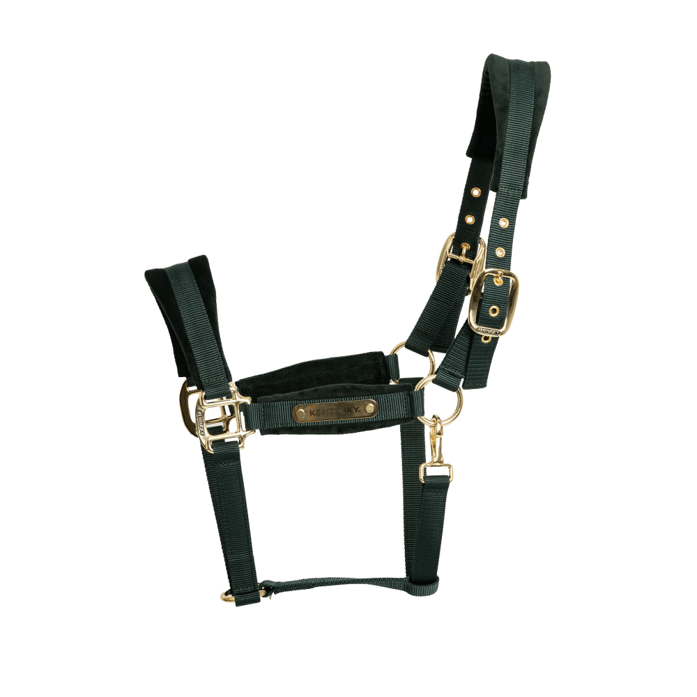 Licol Velvet KENTUCKY • Sud Equi'Passion