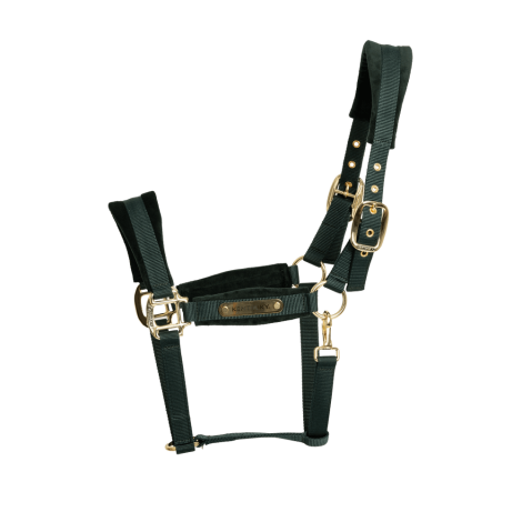 Licol Velvet KENTUCKY • Sud Equi'Passion