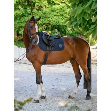Tapis de selle mixte Upstate Jumping TOMMY HILFIGER