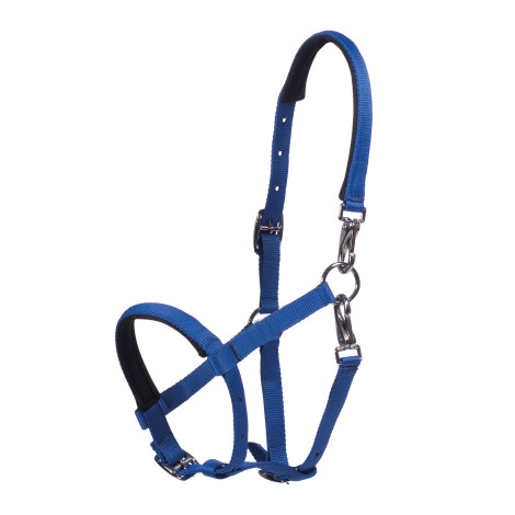 Licol poulain Millie HKM • Sud Equi'Passion