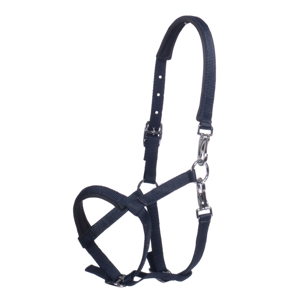 Licol poulain Millie HKM • Sud Equi'Passion