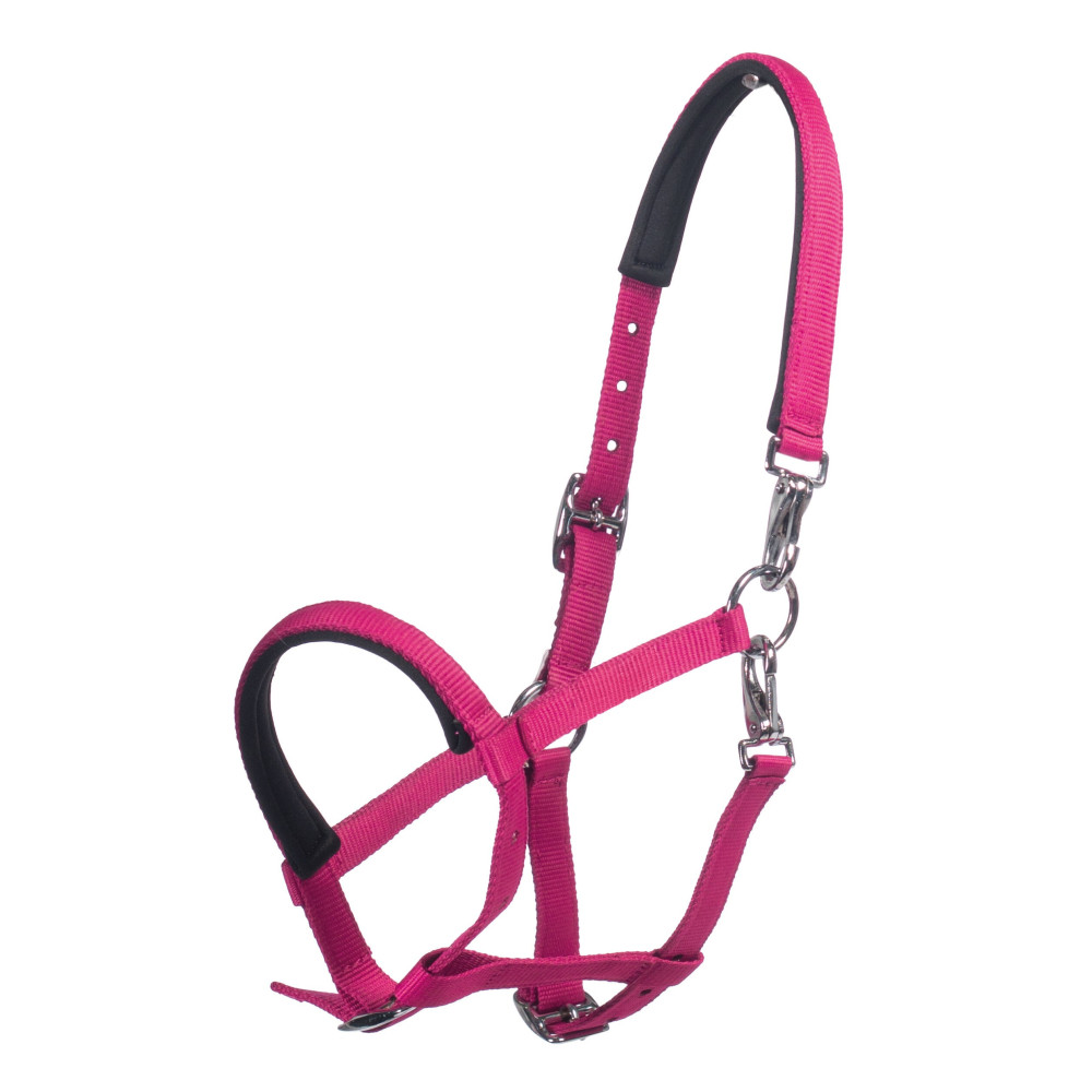 Licol poulain Millie HKM • Sud Equi'Passion