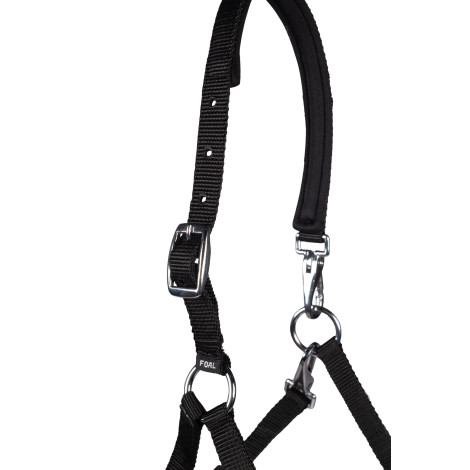 Licol poulain Millie HKM • Sud Equi'Passion