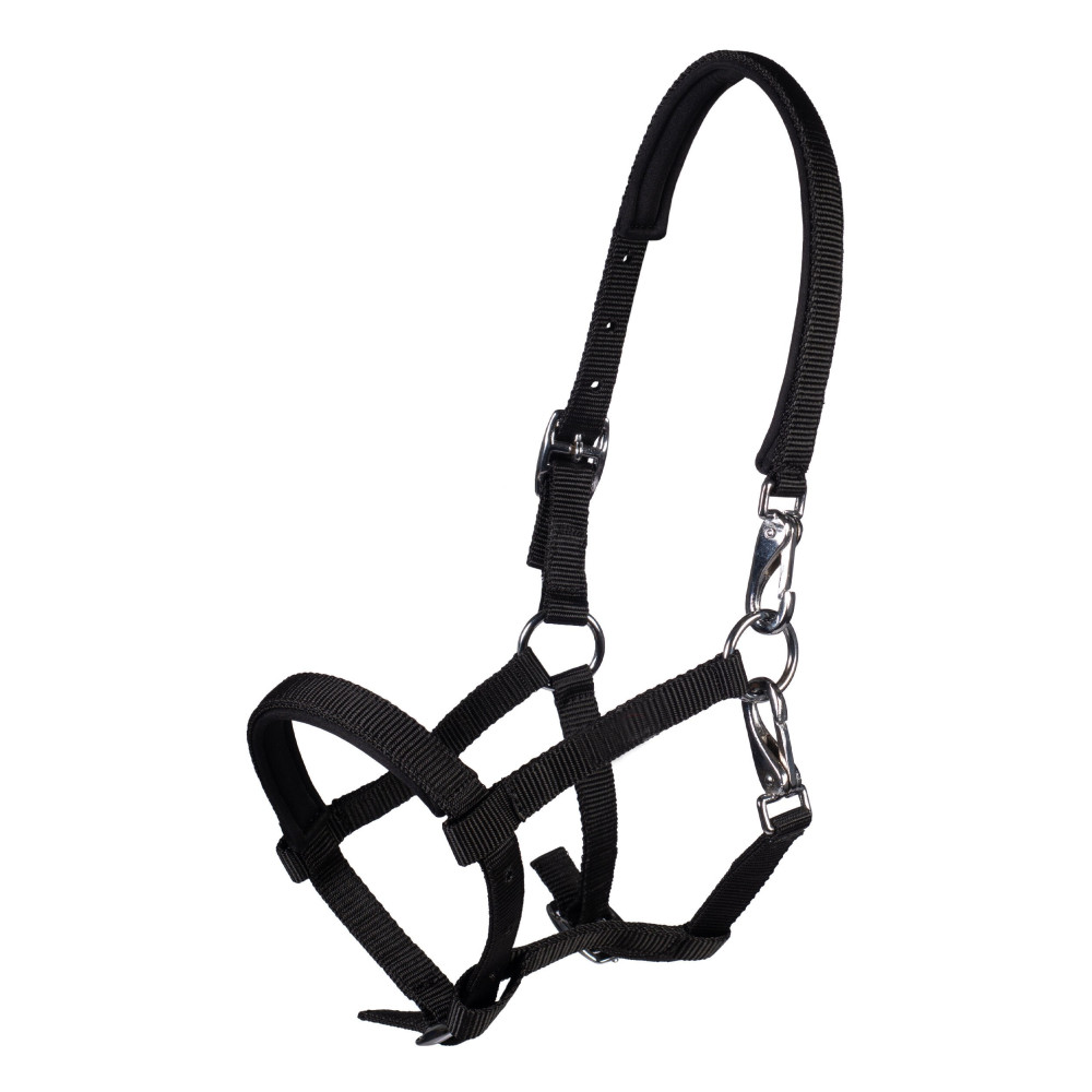 Licol poulain Millie HKM • Sud Equi'Passion