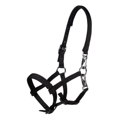 Licol poulain Millie HKM • Sud Equi'Passion