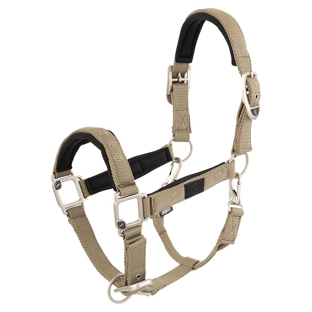 Licol nylon Eevolv Karin BR • Sud Equi'Passion