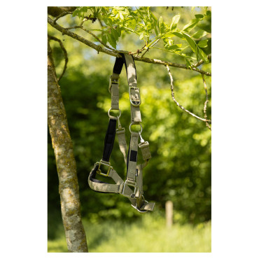 Licol nylon Eevolv Karin BR • Sud Equi'Passion