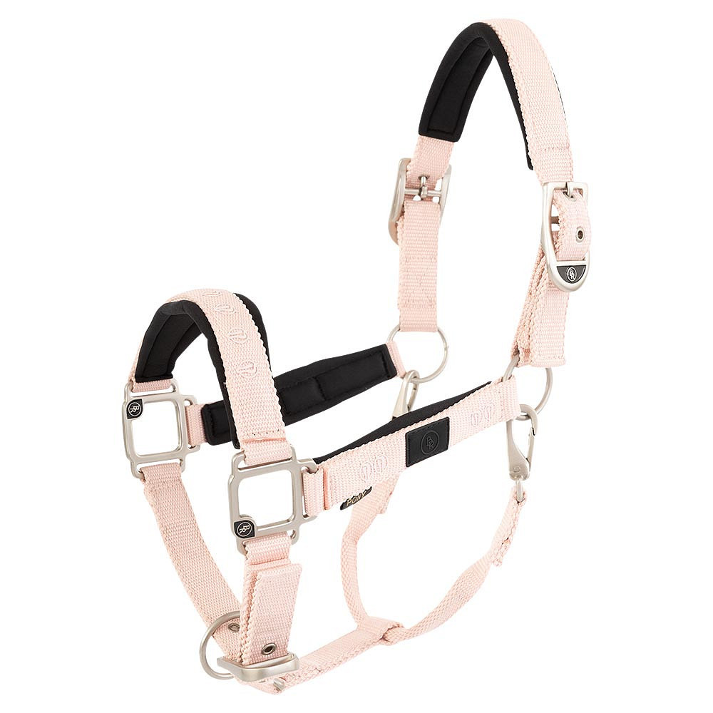 Licol nylon Eevolv Karin BR • Sud Equi'Passion
