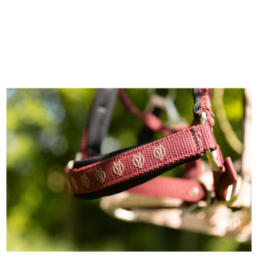 Licol nylon Eevolv Karin BR • Sud Equi'Passion