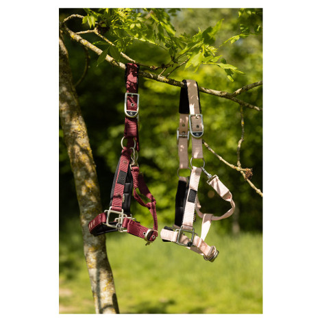 Licol nylon Eevolv Karin BR • Sud Equi'Passion