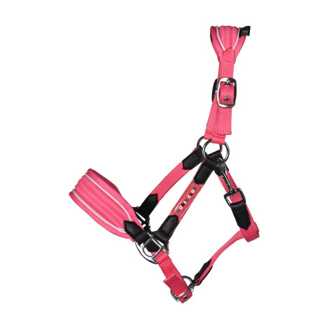 Licol Maui HKM • Sud Equi'Passion