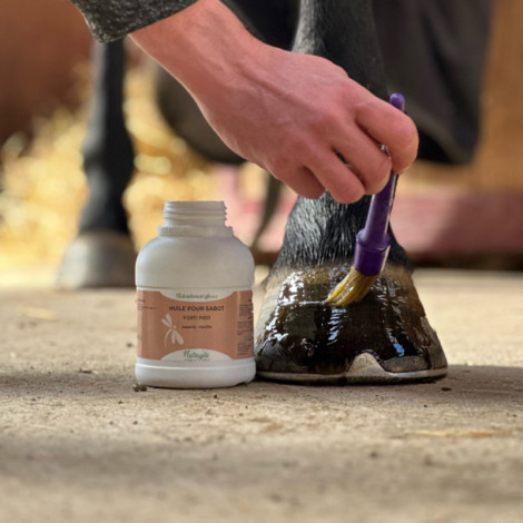 Huile pour sabot Forti Pied NUTRAGILE • Sud Equi'Passion