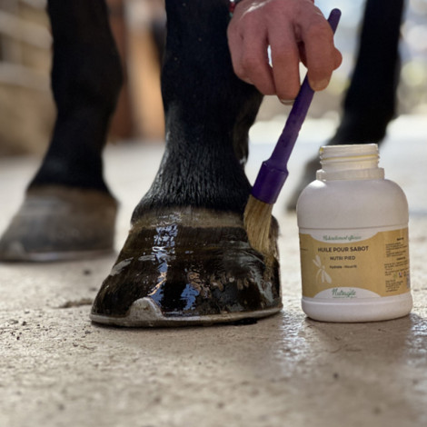 Huile sabot Nutri Pied NUTRAGILE • Sud Equi'Passion