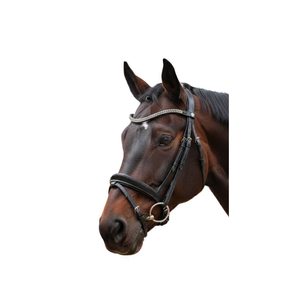 Bridon cuir Valegro CANTER • Sud Equi'Passion