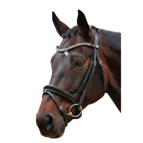 Bridon cuir Valegro CANTER • Sud Equi'Passion