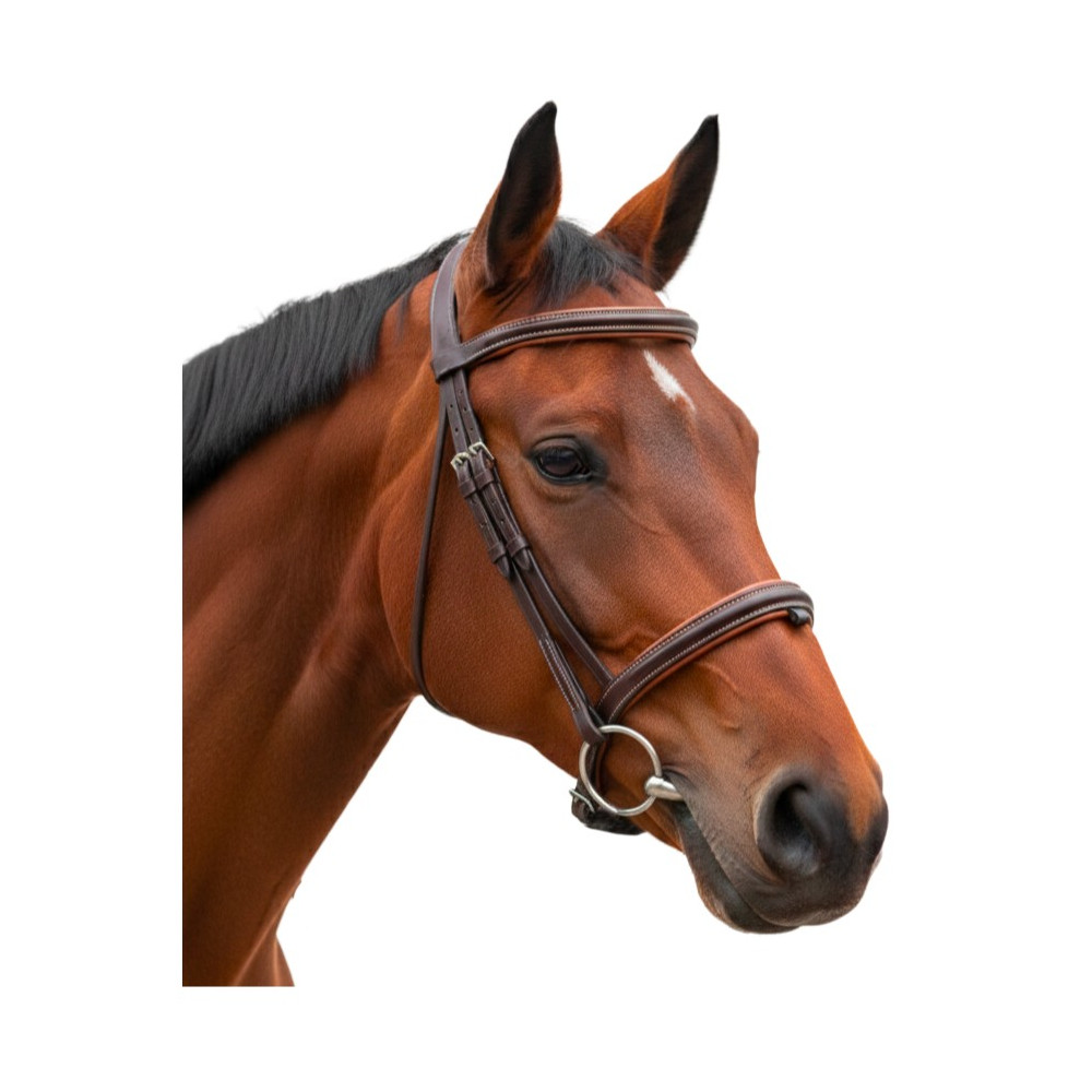 Bridon cuir 1/2 rond Vagabond CANTER • Sud Equi'Passion