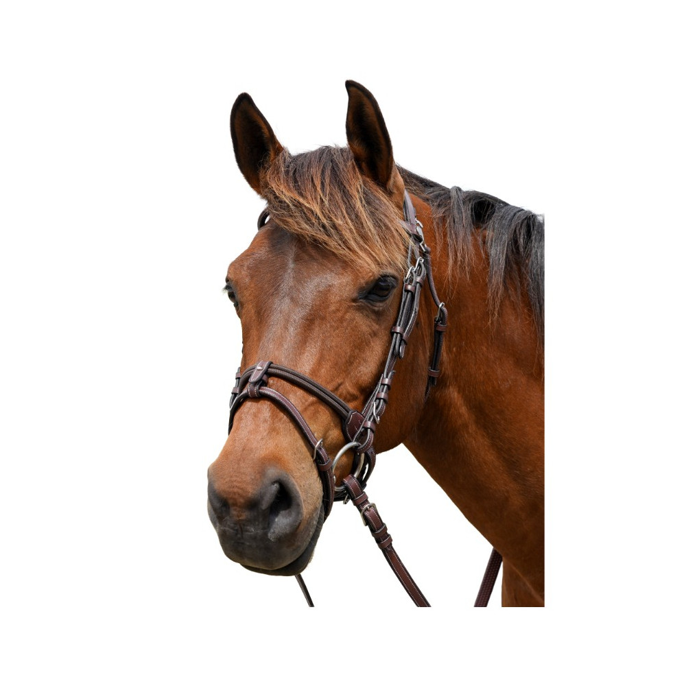 Bridon cuir Calgary FLAGS&CUP • Sud Equi'Passion